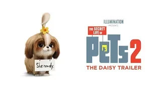 The Secret Life Of Pets 2  | The Daisy Trailer