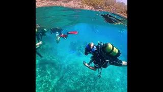 Scuba Diving Tour From Antalya, Belek