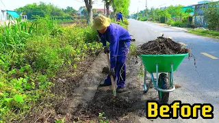 Shock - Discovered a sidewalk and drains covered with weeds - We cleaned it in 2 hours