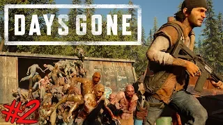 DAYS GONE - Let's Play #2 [FACECAM] - WIE GEHT ES WEITER ??