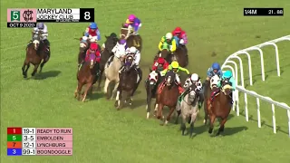 Laurel Park Carrera 8 (The Punch Line Stakes) - 9 de Octubre 2020