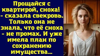 Прощайся с квартирой, сноха! - сказала свекровь. Только она не знала, что её сноха - не промах