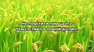 Пісня «Свято Жнив - день нашої подяки»