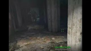 Fallout 4 I too, screamed the whole time