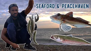 Mackerel Madness! Fishing at Seaford & Peacehaven - UK Tour Episode 4