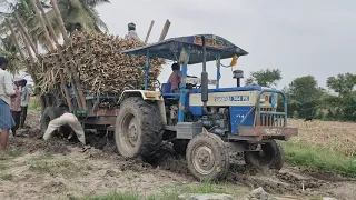 swaraj 744 Fe tractor and john Deere tractor pulling Heavy Load whealing sugarcane tractor