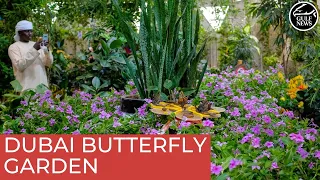 Inside the world’s largest indoor butterfly garden in Dubai