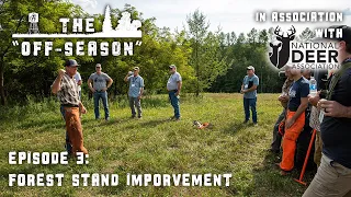 The Off-Season | S2 : E3 | Forest Stand Improvement