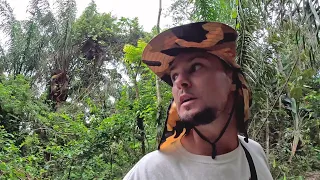 Solo in the Amazon | Guyana 🇬🇾