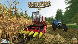 Old School Corn Harvest! | FS22 | Survival | Episode 26
