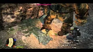 Dragon's Dogma   серия 21 Грифон!