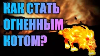 КАК СТАТЬ ОГНЕННЫМ КОТОМ ? 🔥