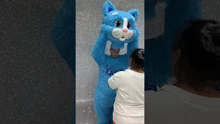 Как проходят обзоры в Потапыче #ростовыекуклы #mascot #праздник #мультик #животные #котик #кот