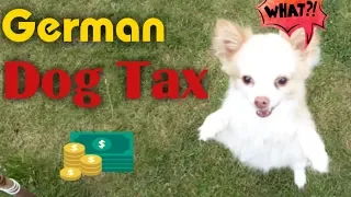 German Dog Tax