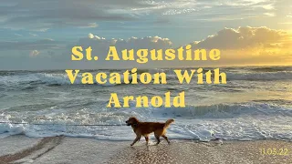 St. Augustine Vacation With Our Dog!