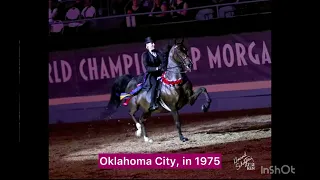 Morgan Grand National & World Championship Horse Show History