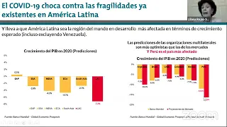 La economía peruana ante el COVID-19: retos y perspectivas