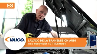 Purga de la transmisión Audi Multitronic | VAICO EXPERT-KITS+ V10-3231-XXL para la transmisión CVT