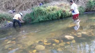 como garimpar muito ouro dica de garimpeiro