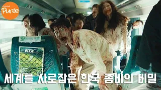 🚝부산행, 이 영상 하나면 끝! [ 부산행 비하인드 ] 총정리