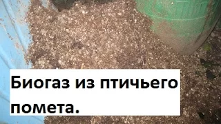 Биогаз из птичьего помета.