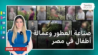 ما علاقة أسماء عطور عالمية فاخرة بعمالة الأطفال في مصر؟