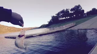 Fishing coyote lake with my son