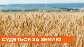 Земельный конфликт на Волыни: ветераны судятся с поселковым советом за гектары