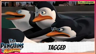 The Penguins of Madagascar | Full Episode | Tagged