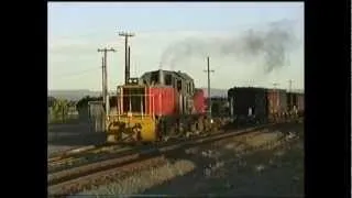 New Zealand Rail Hawkes Bay