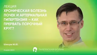 Хроническая болезнь почек и артериальная гипертензия  - Швецов М.Ю.