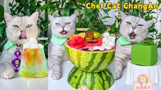 Chef Cat Brings The COOLEST SUMMER Food Collection! 🍉|Cat Cooking Food|Cute And Funny Cat