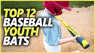 Best Baseball Youth Bats In 2024 | Top 12 Best Baseball Bats For Youth