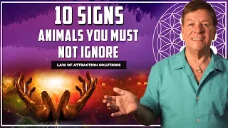 10 Signs - Animals You Must Not Ignore - Totem Spirit Animal Messages