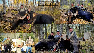 Archery Canada Moose hunts with AWGS in Alberta, Canada - Trad Bow Trifecta