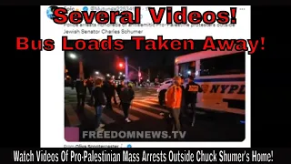 Watch Videos Of Mass Pro-Palestinian Arrests Outside Chuck Shumer's Home!