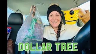 DOLLAR TREE SHOP WITH ME & CAR HAUL | ✨EVERYTHING IS NEW✨