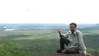 Native Birding Colombia - Blue Sky Wildlife