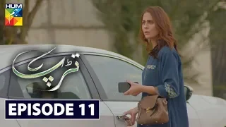 Tarap Episode 11 HUM TV Drama 16 May 2020