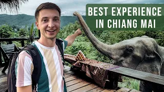 Elephant Experience in Chiang Mai - Chai Lai Orchid