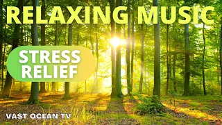 YOU CAN LISTEN TO THIS MUSIC FOREVER! The Most Beautiful Music in the World! • 30 Min Relaxing Music