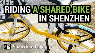 Riding a Shared Bike in Shenzhen