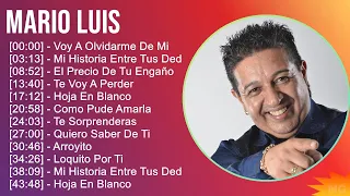 Mario Luis 2024 MIX Grandes Exitos - Voy A Olvidarme De Mi, Mi Historia Entre Tus Dedos, El Prec...