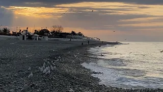 09.02.2024. Погода в Сочи в феврале. Смотри на Чёрное море каждый день.