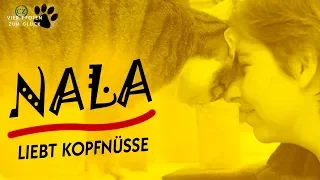 Vier Pfoten zum Glück #10: Nala liebt Kopfnüsse