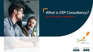 Life as a Consultant - Job Description of an ERP Consultant