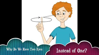 STEM - Why Do We Have Two Eyes?