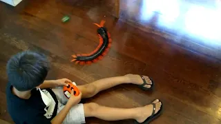 Giant Remote Control Centipede