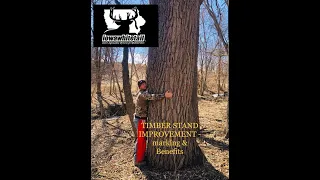 Timber Stand Improvement, Deer, Benefits, financials & marking