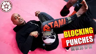 BEST WAY to BLOCK PUNCHES When You Can't Get Up